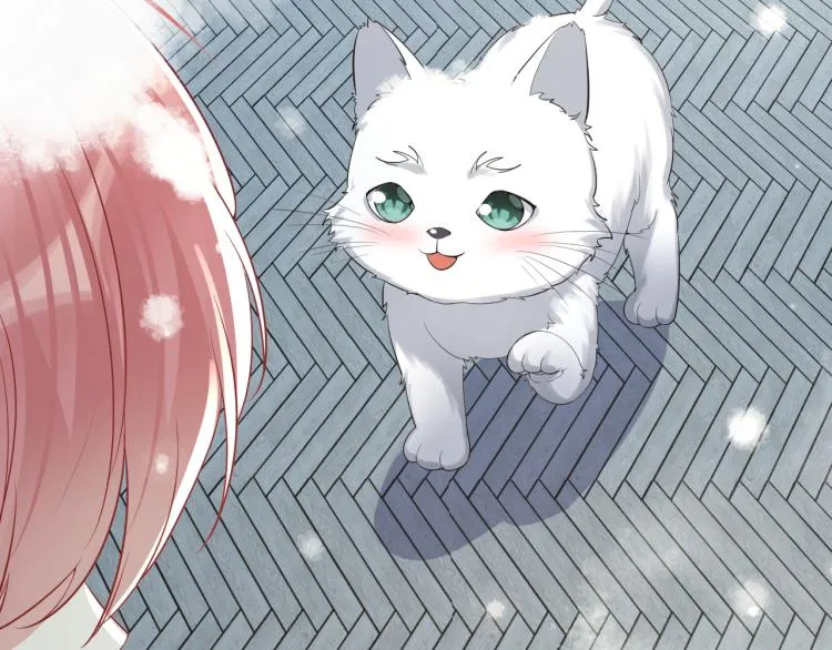 第8话 大雪中的小猫咪 第58页