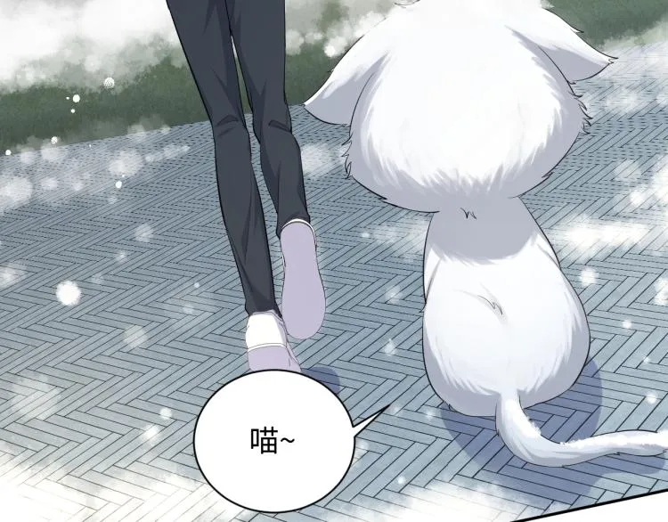第8话 大雪中的小猫咪 第63页