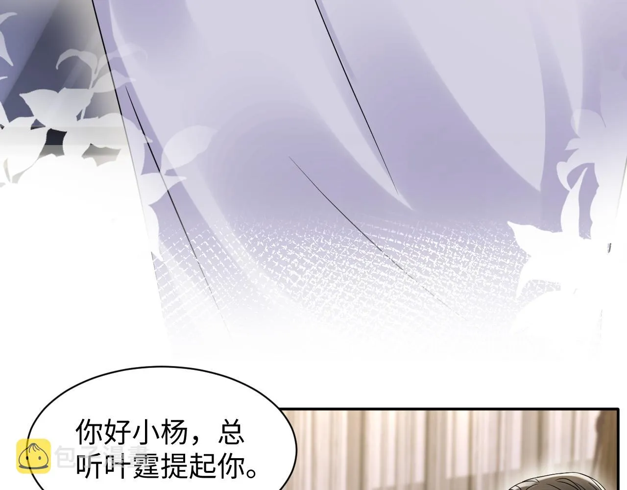 第102话叶霆的父母 第25页