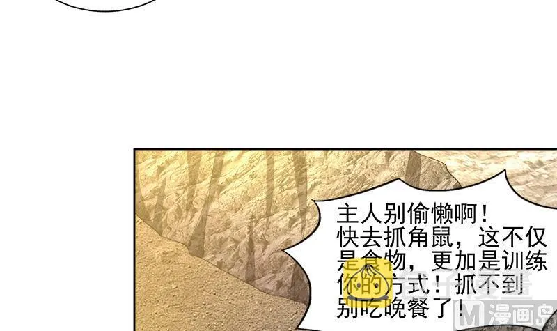 第217话 闭关修炼 第15页