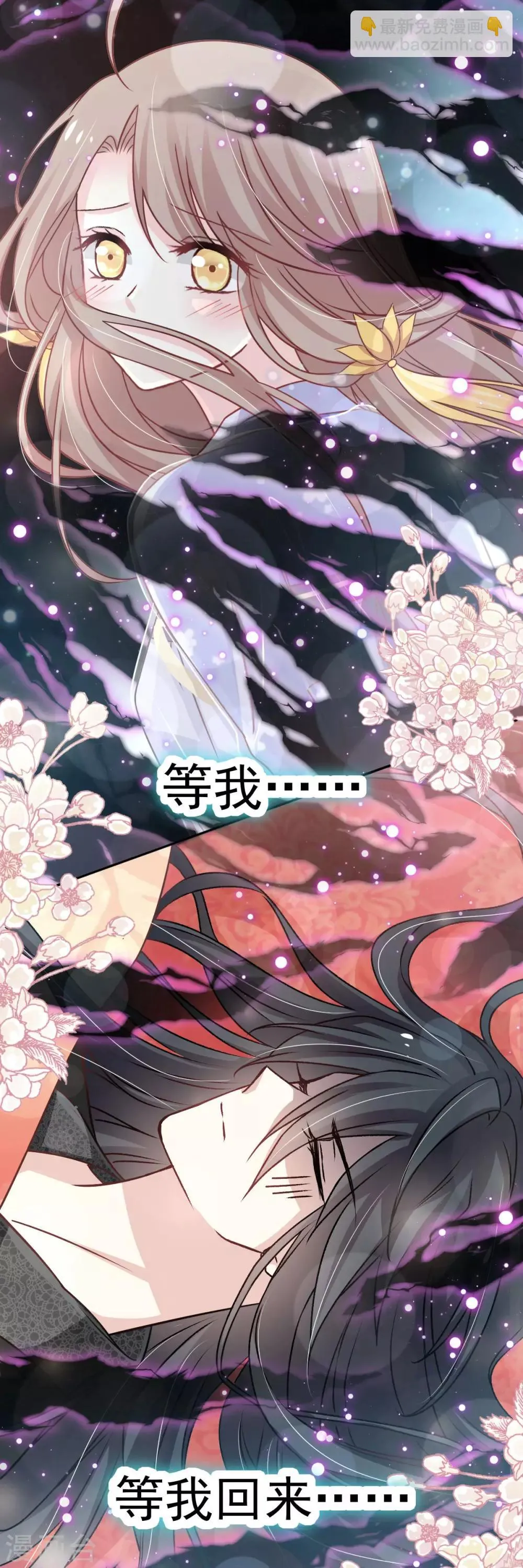 第135话 生生世世是吾妻 第11页