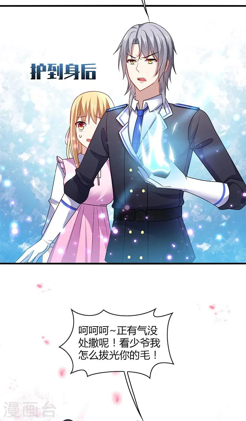 第3话 放手！看我拔光你的毛？ 第11页
