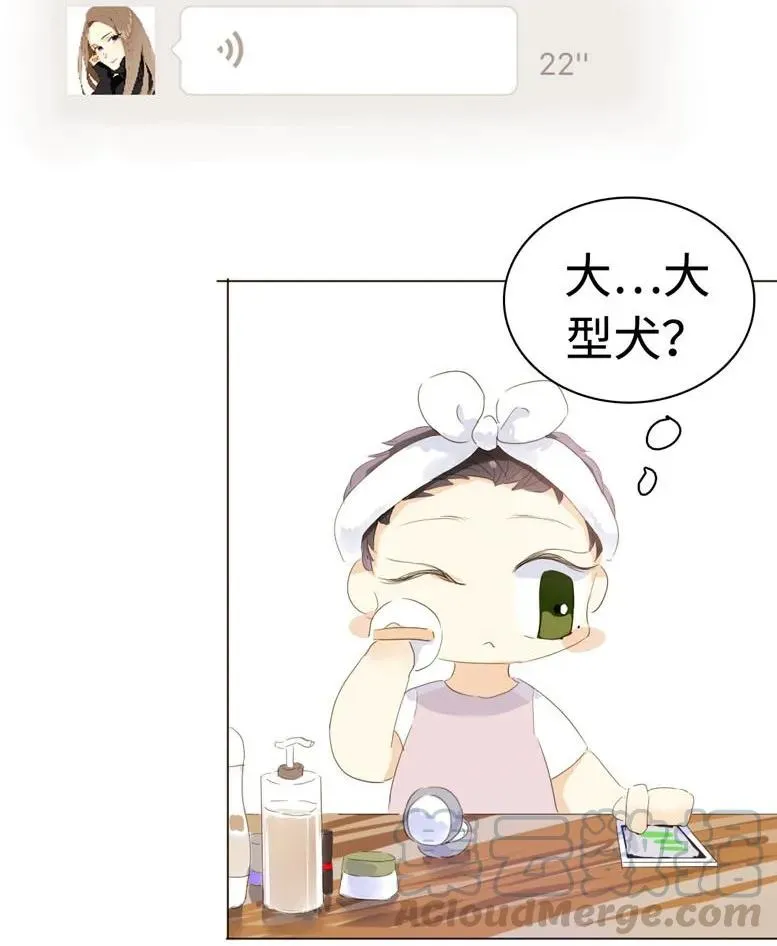 037 大型忠犬 第13页