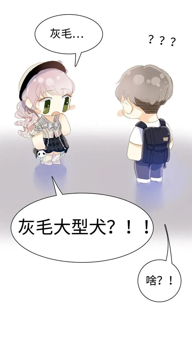 037 大型忠犬 第22页