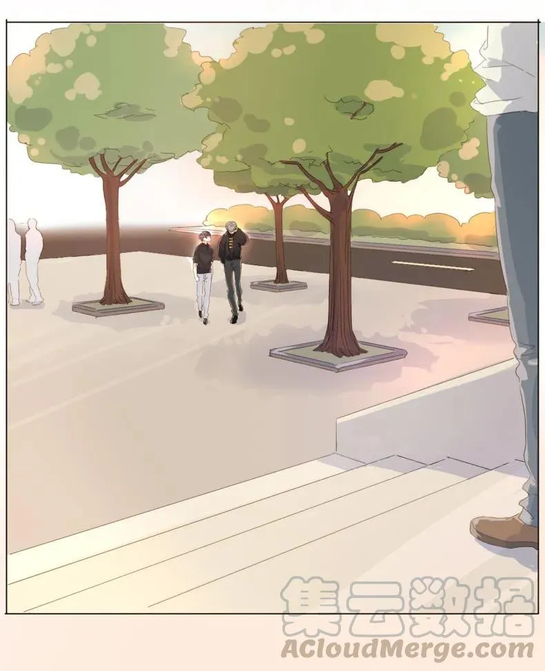 112 保护伞 第13页