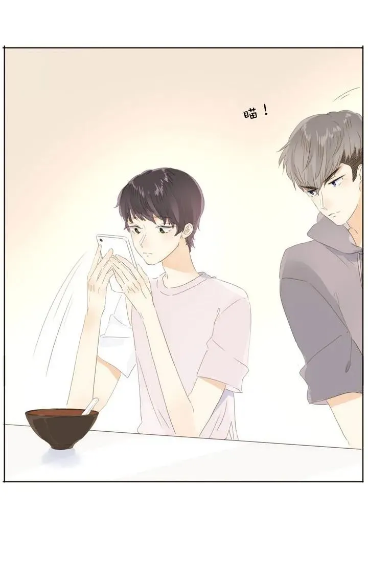 144 婚纱 第19页
