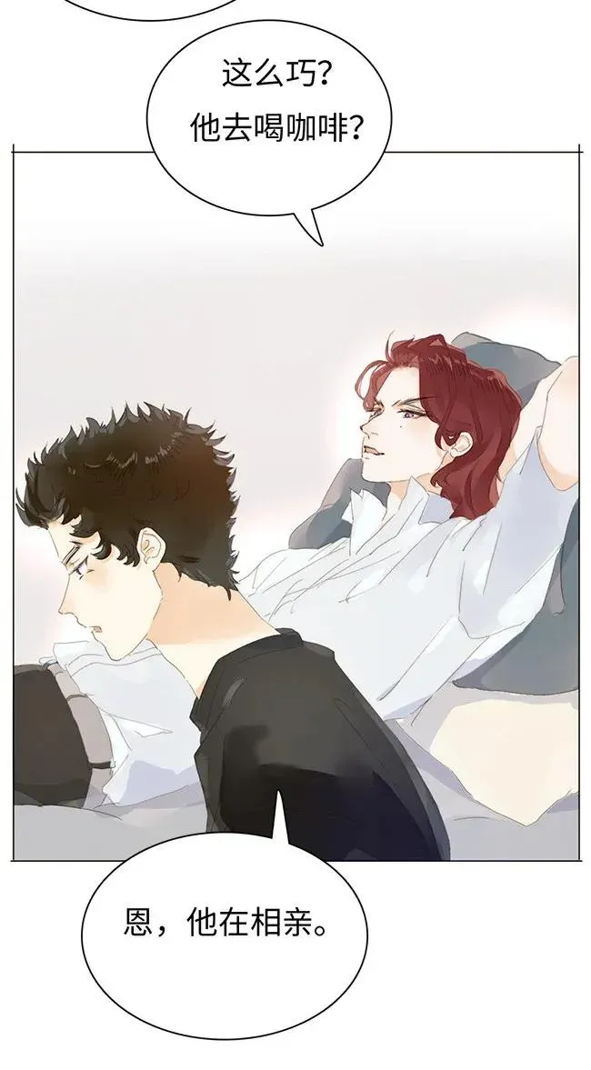 175 相亲 第17页