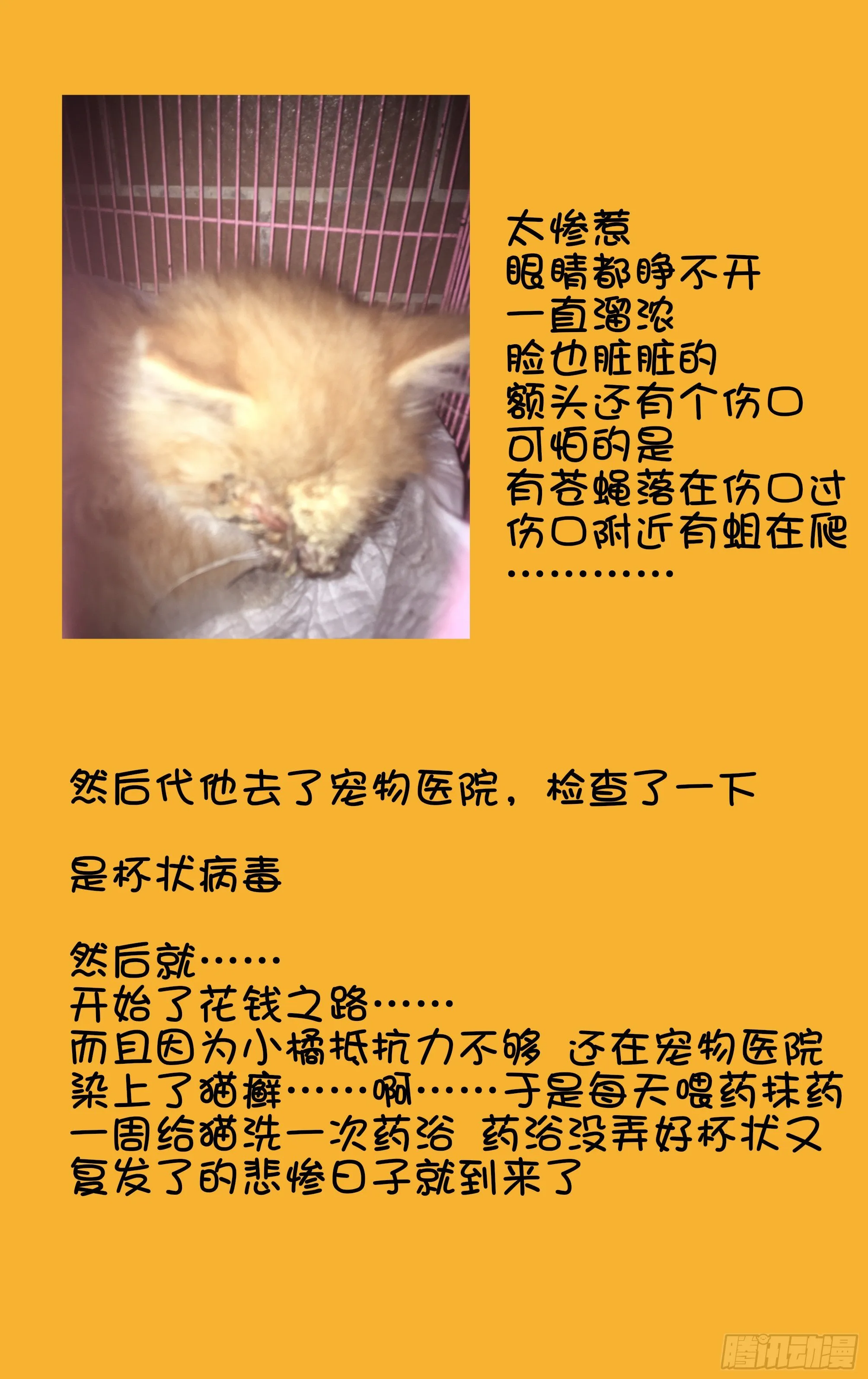 番外 第4页