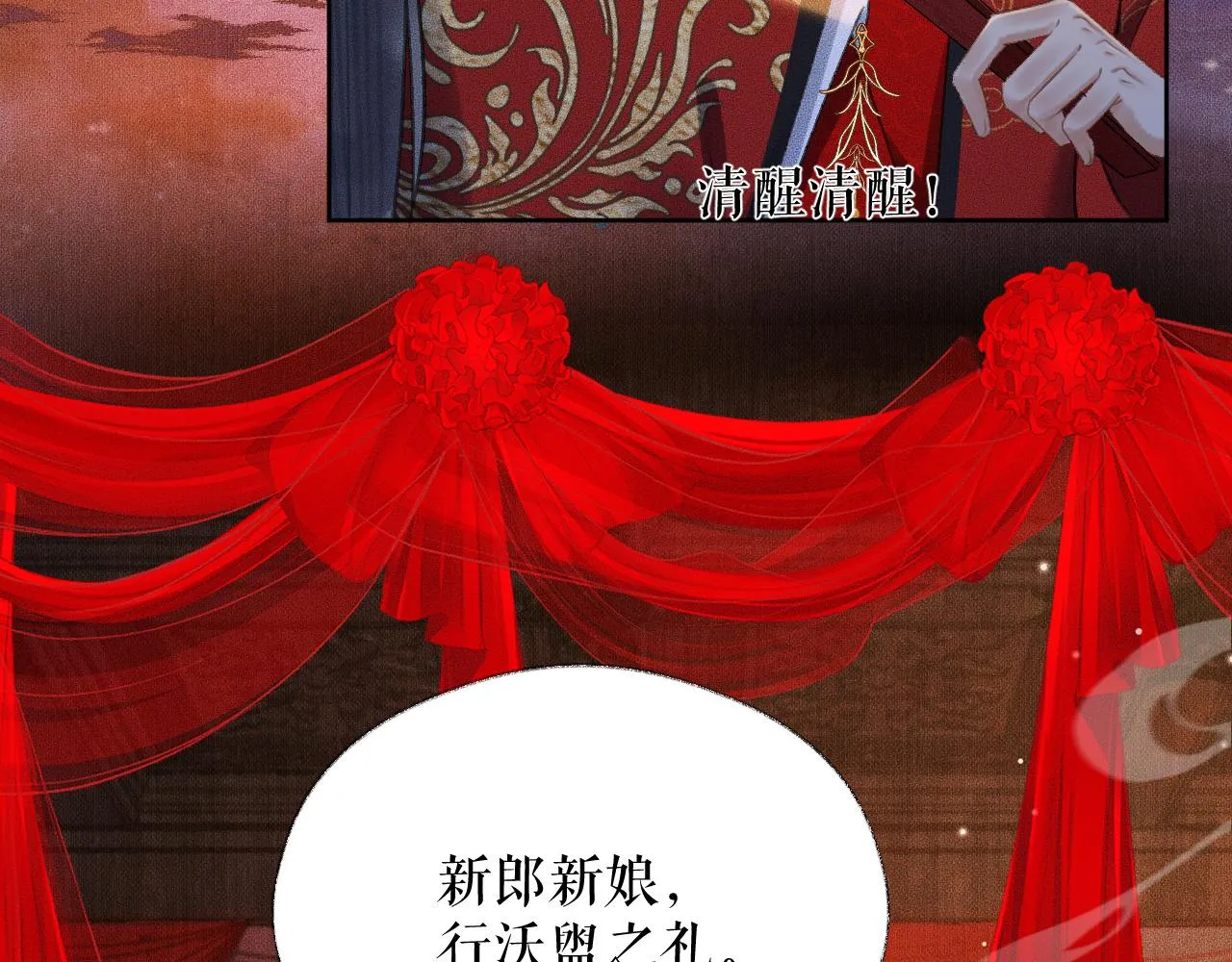 第19话 礼成入洞房 第28页
