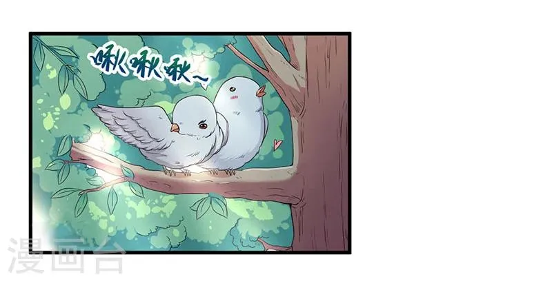 第13话 暗中试探 第19页