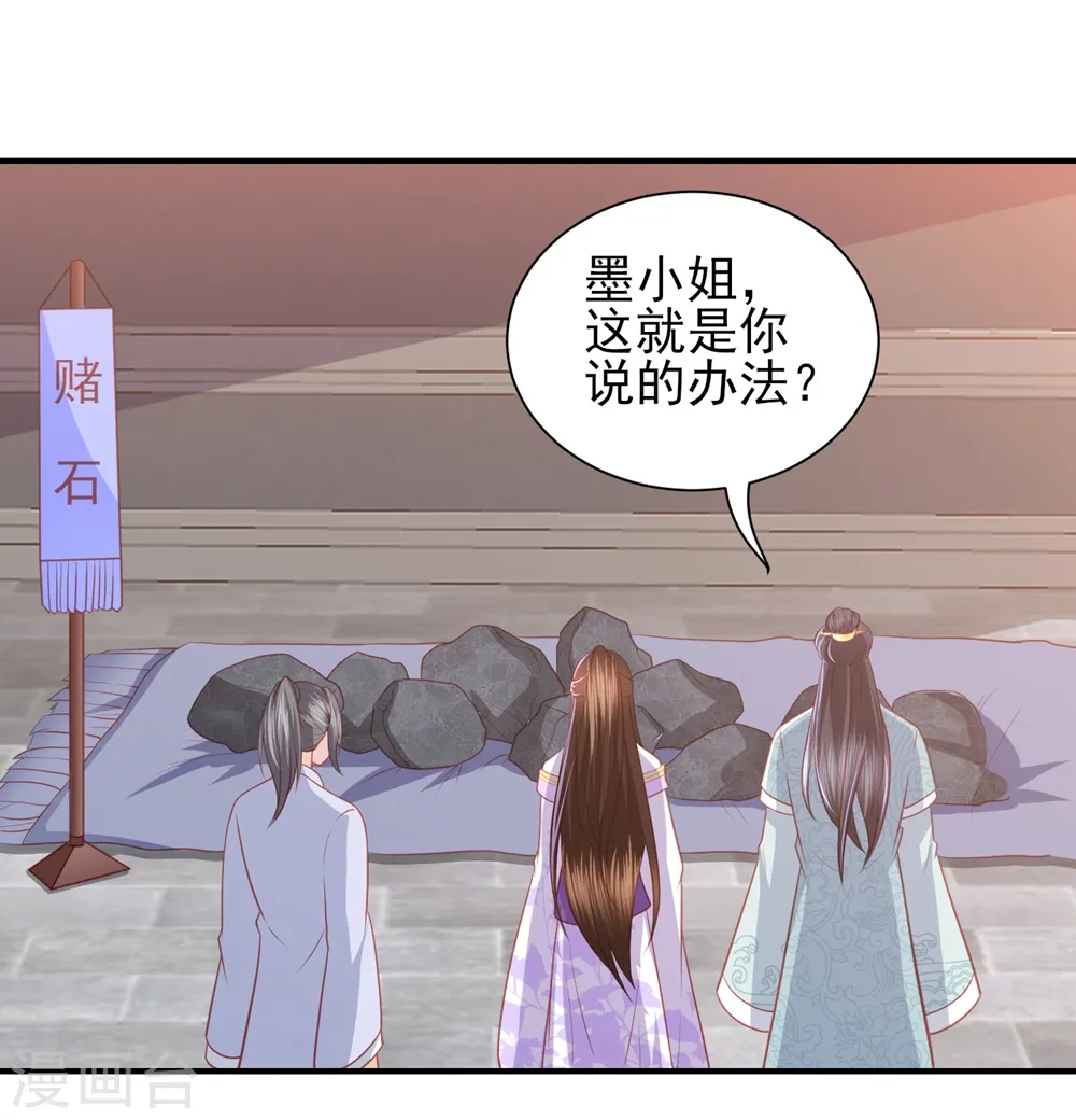 第46话 赌石 第2页