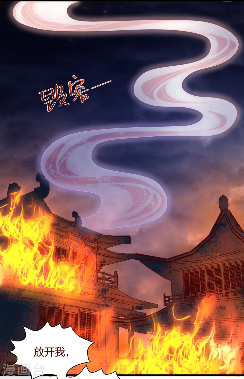 第1话 毁容王妃遭唾弃 第8页
