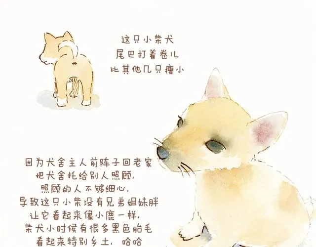 这个纪念日礼物我好喜欢！ 第10页