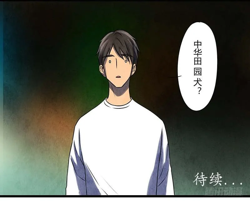 段扬 第30页