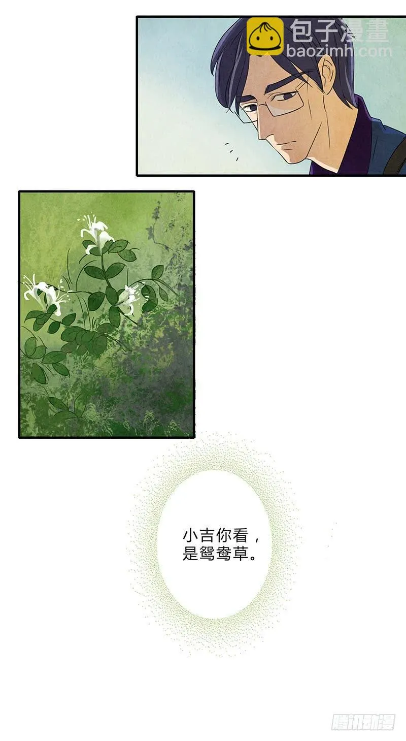 鸳鸯草 第4页