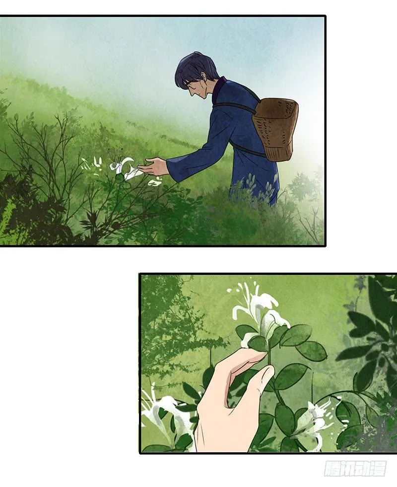 鸳鸯草 第11页
