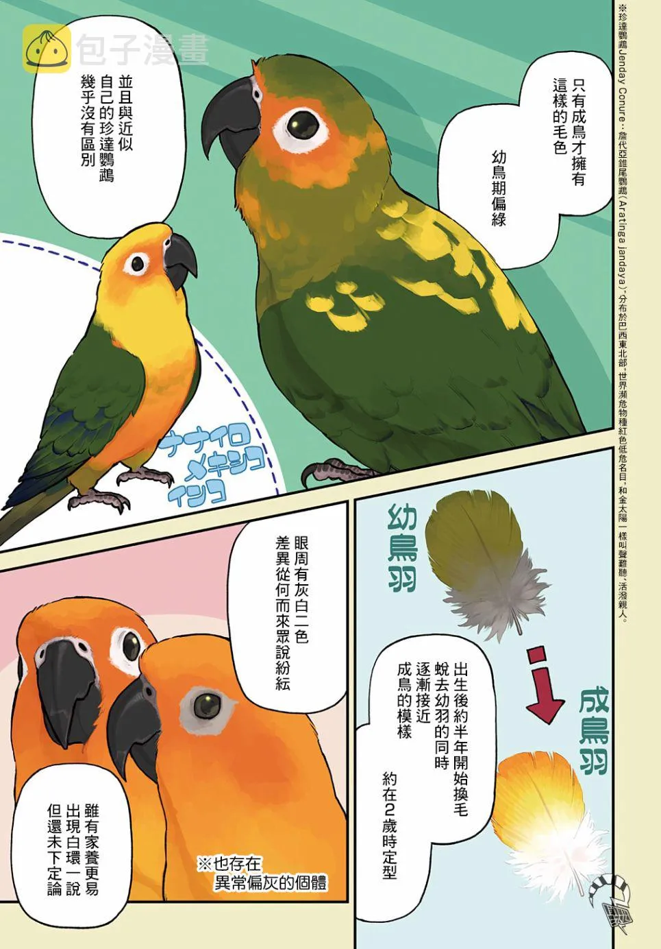 第13话 第6页