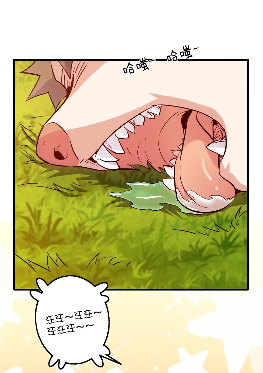 045 允许 第14页