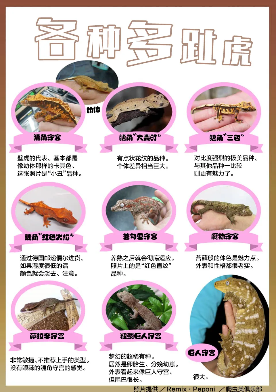 42话 第21页