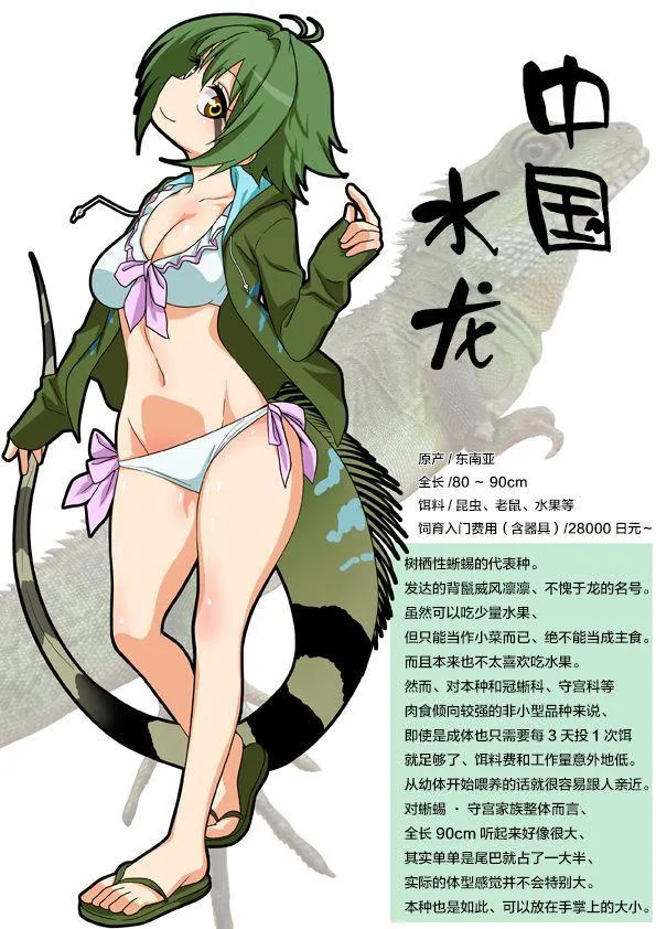 作者P站图2 第2页