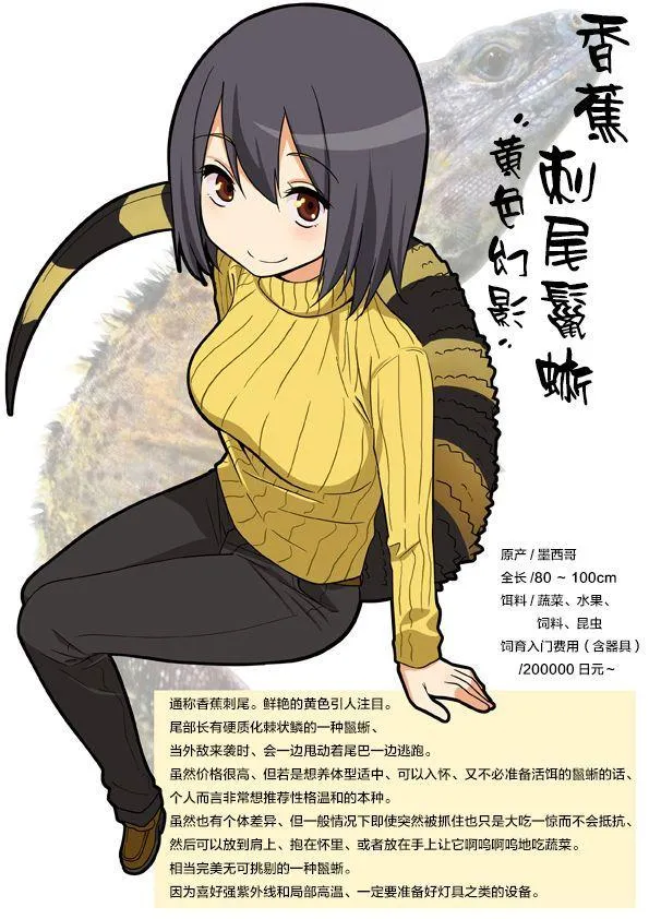 作者P站图2 第4页