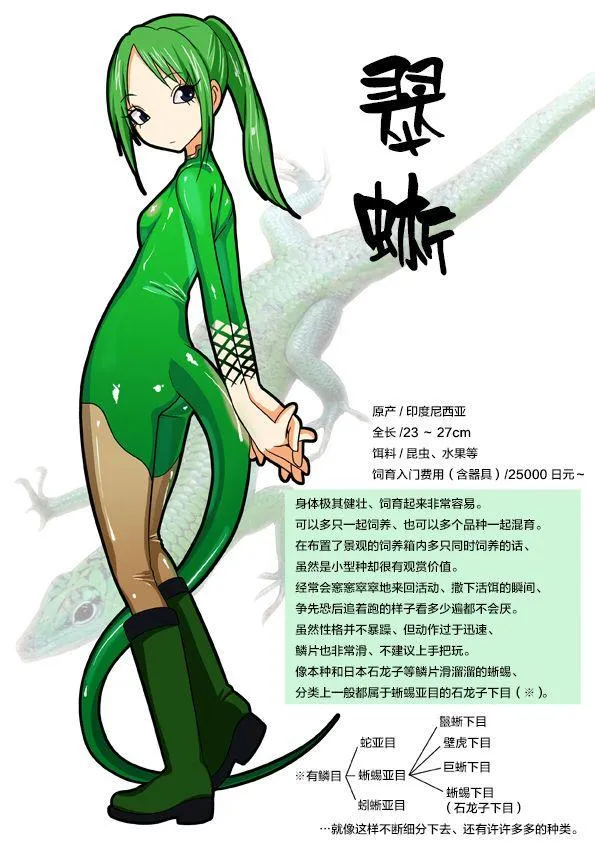 作者P站图2 第13页