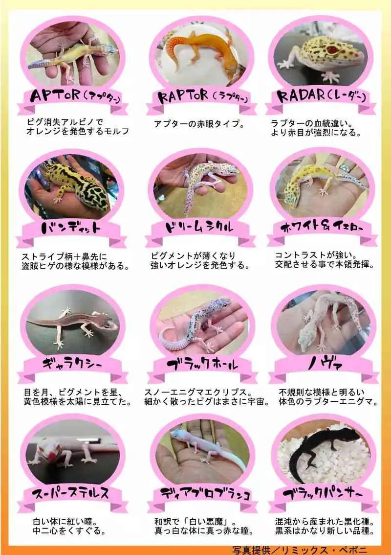 4话 第19页