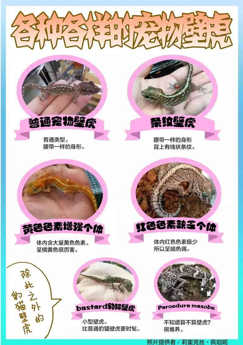 5话 第21页
