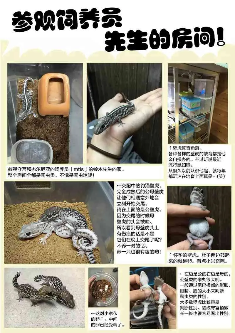 5话 第22页