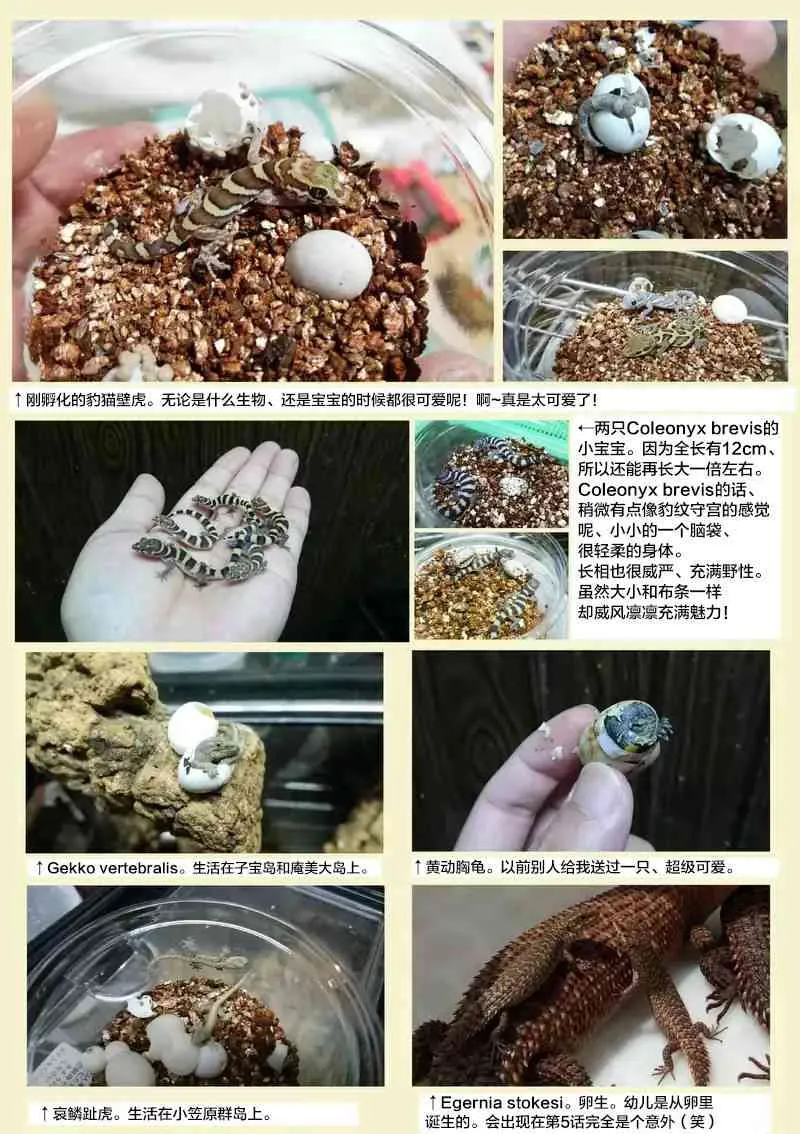 5话 第23页