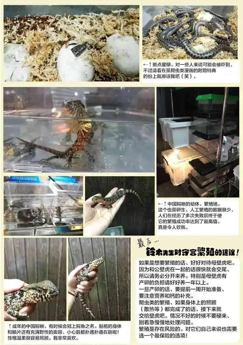 5话 第24页