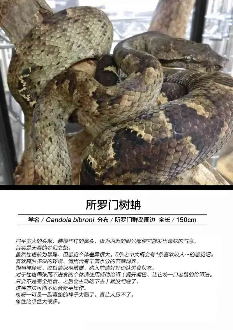 23话 第28页