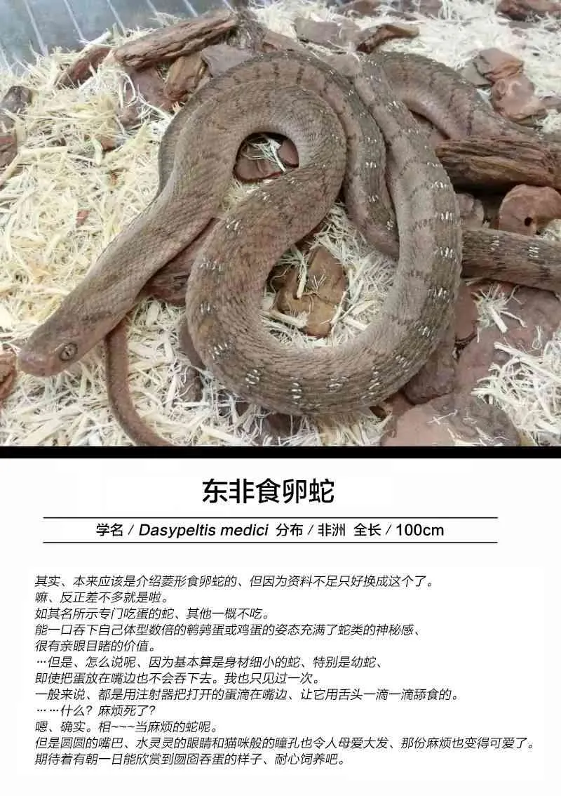 23话 第29页