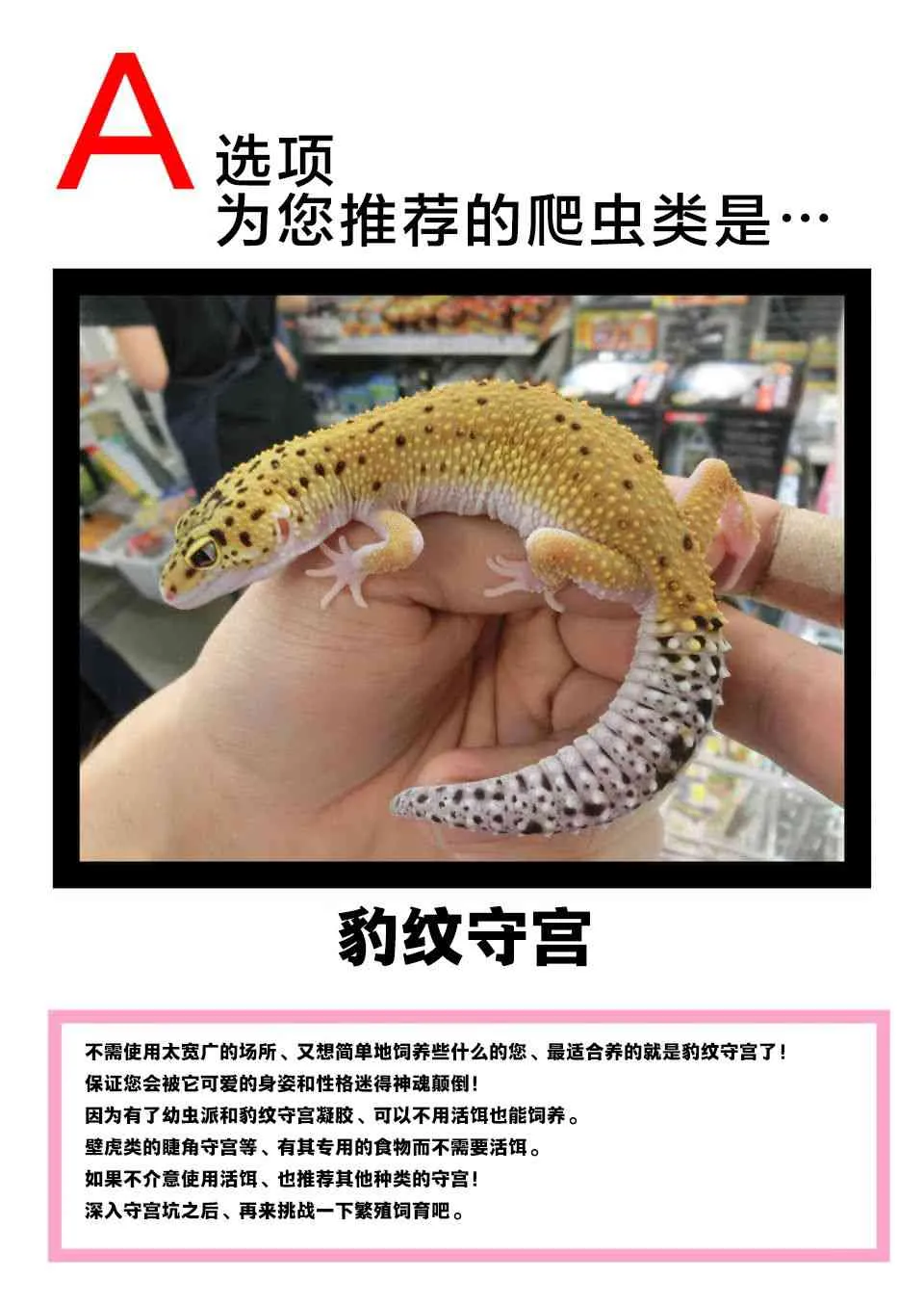 27话 第14页