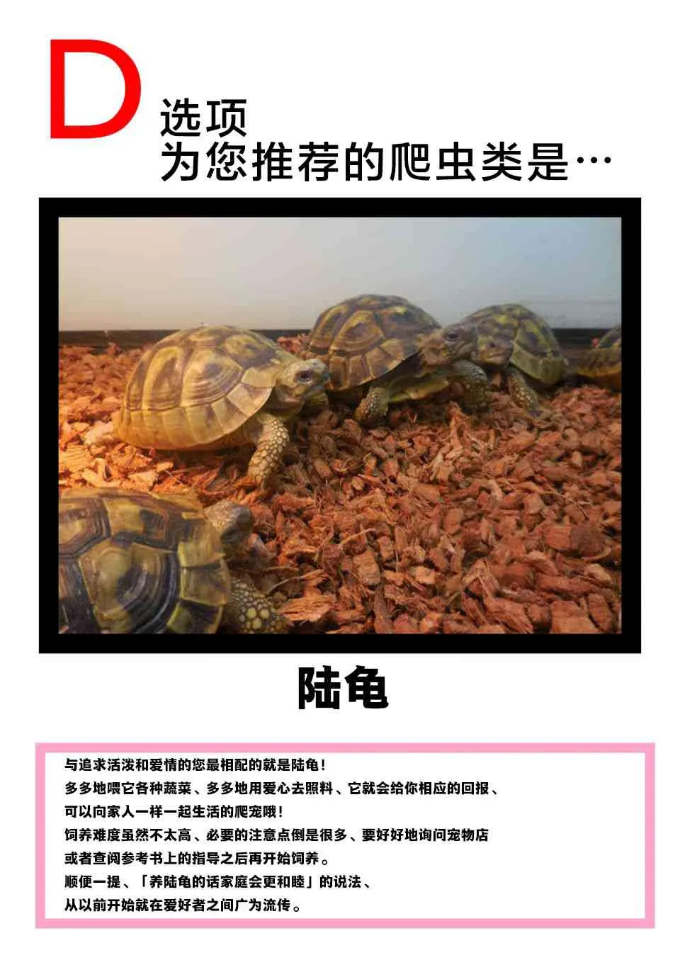 27话 第17页