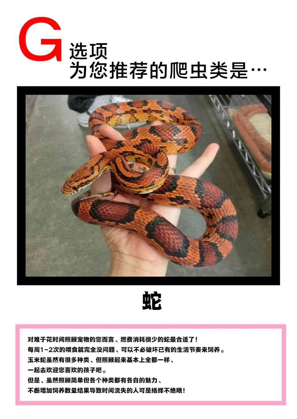 27话 第20页