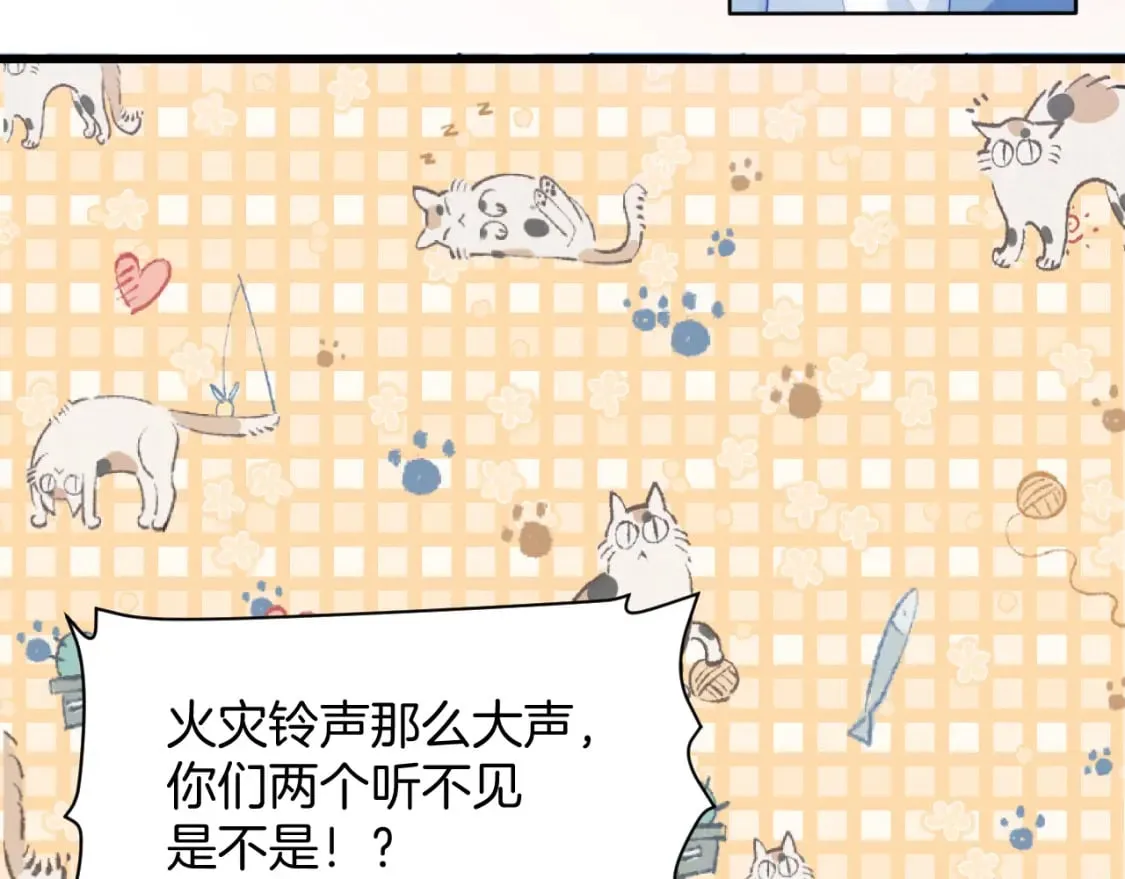 第81话 猫猫会吃醋的 第61页