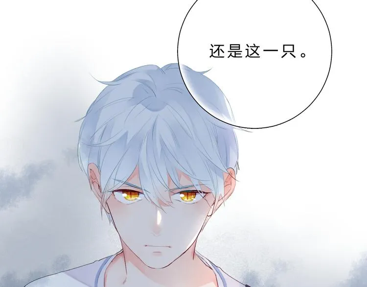 第42话 争夺 第14页