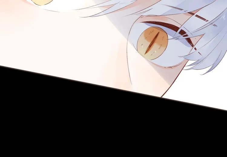 第52话 轻轻触碰你 第168页