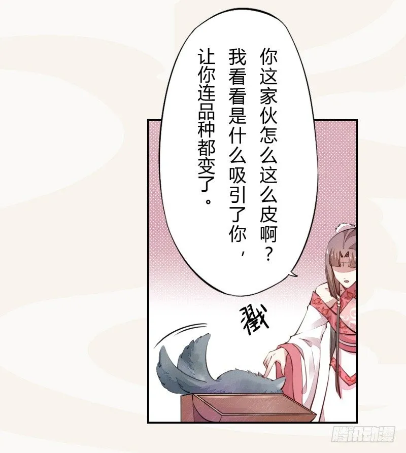 034 我什么都不缺就缺宝物 第15页