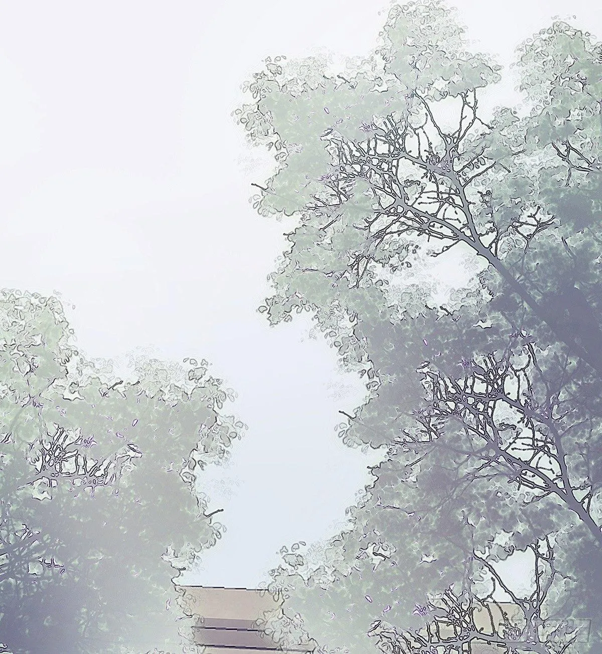 颜兮请你去生日宴 第2页