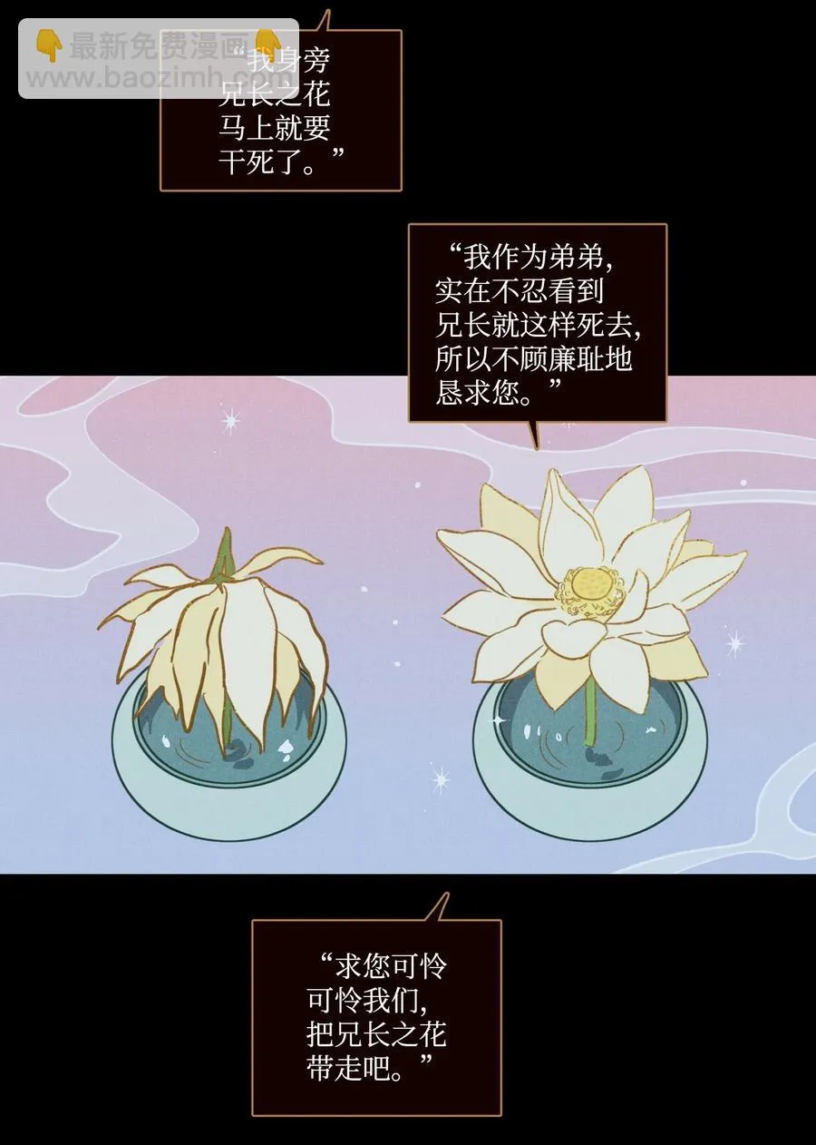 64 兄弟之花 第48页