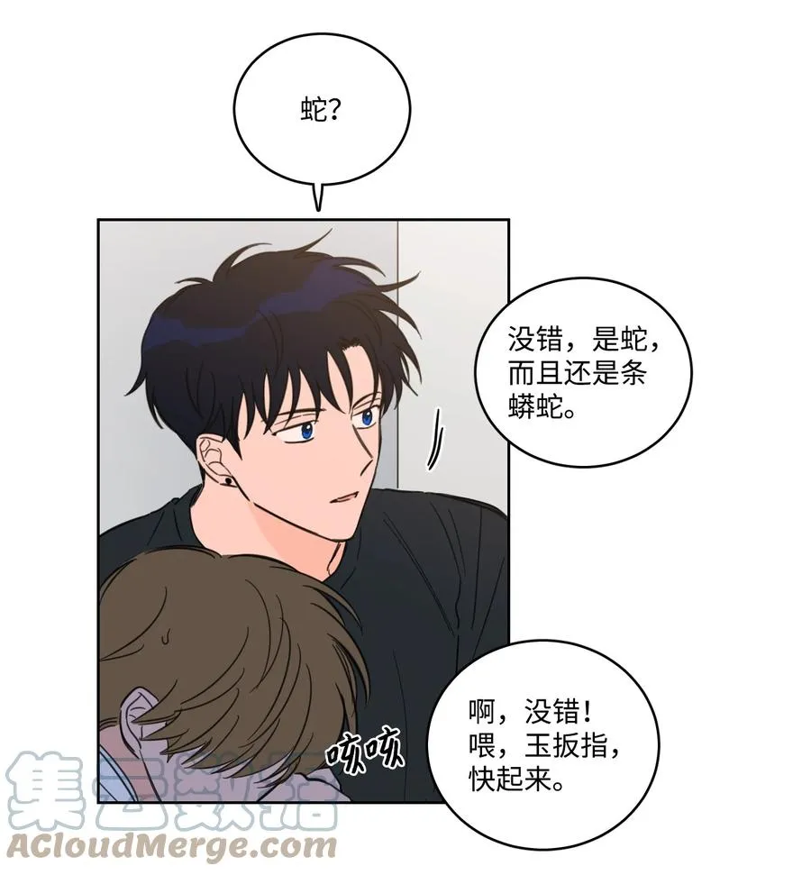 56 蟒蛇的诅咒 第16页