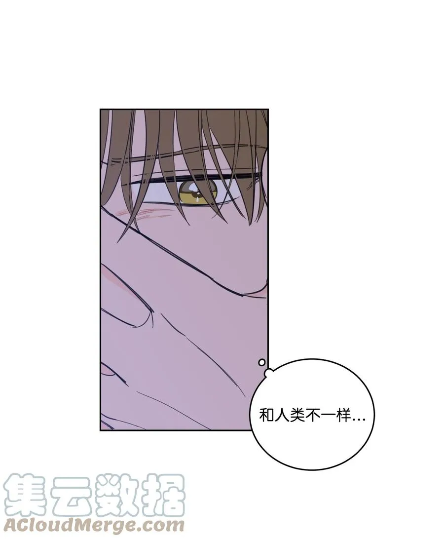 51 哥哥的谎言 第34页