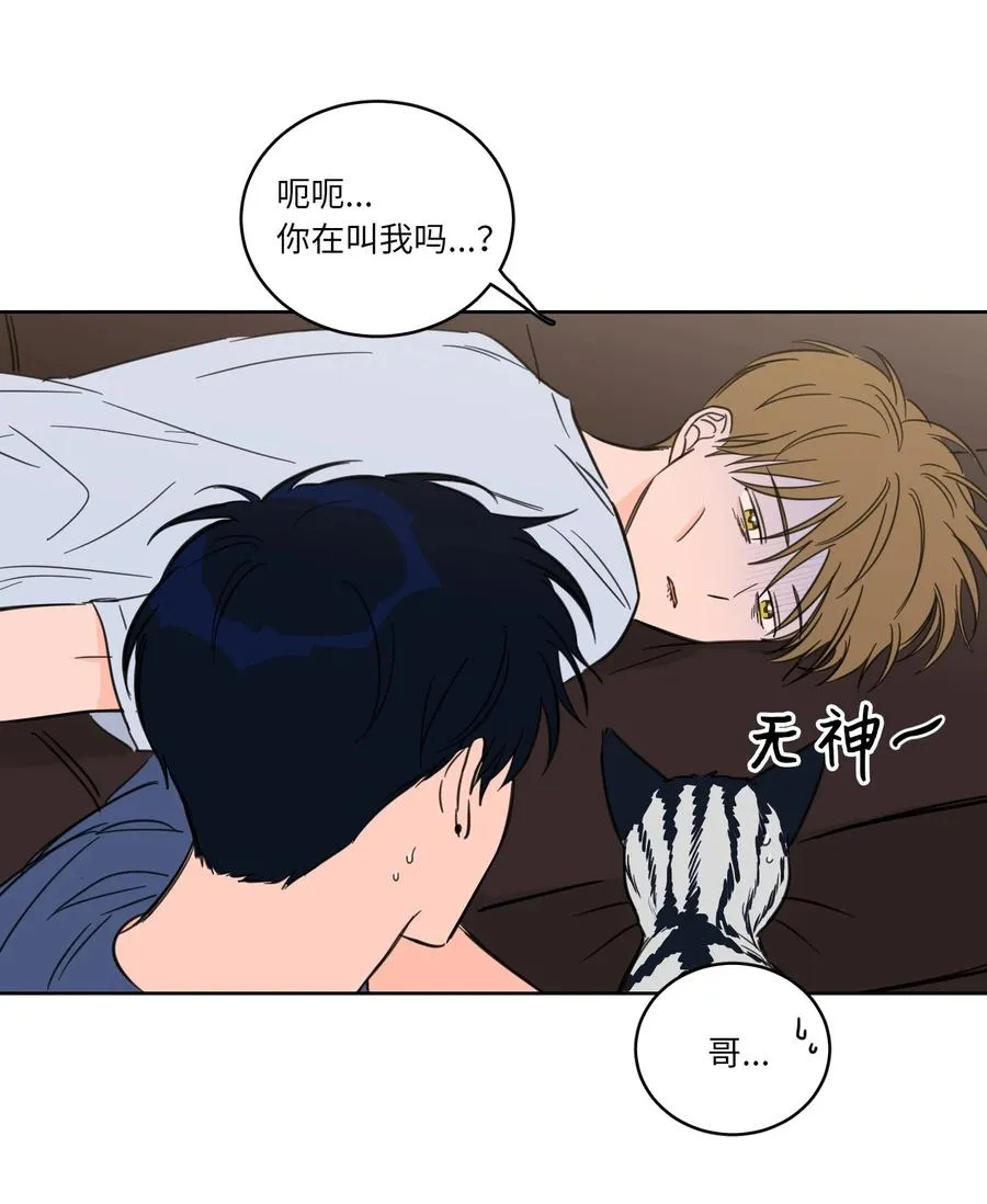 43 未知来电 第6页