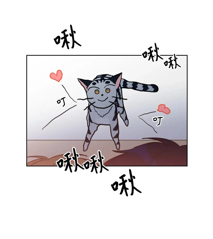 43 未知来电 第12页