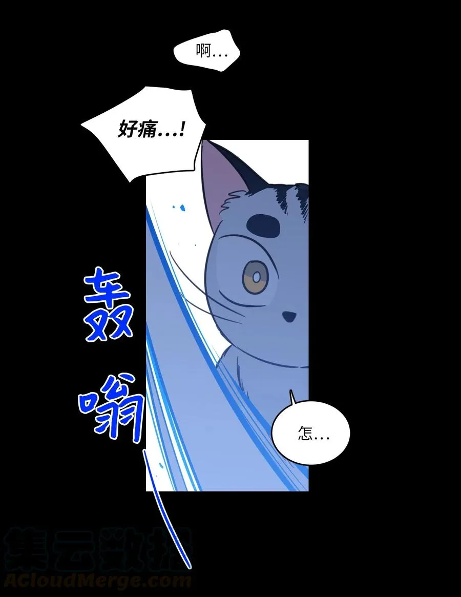 41 特别的力量 第40页