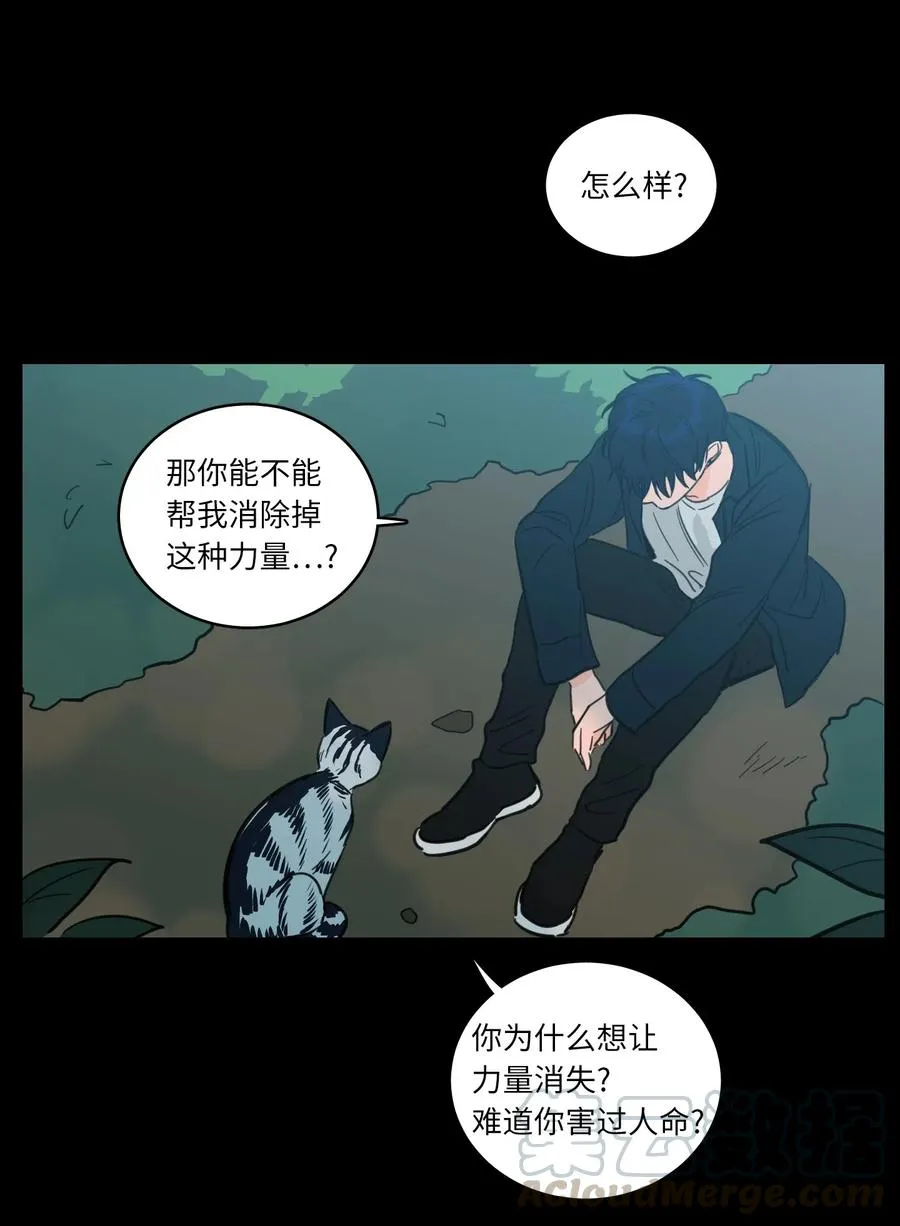 41 特别的力量 第43页