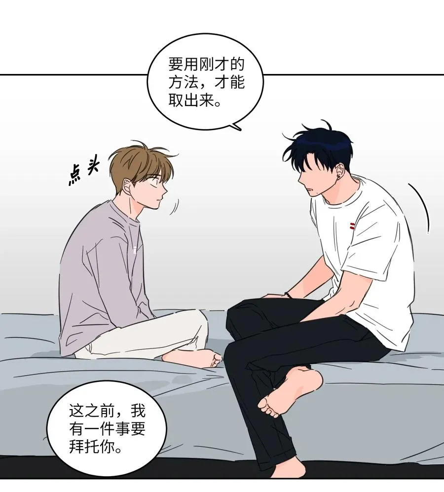 19 取珍珠 第3页