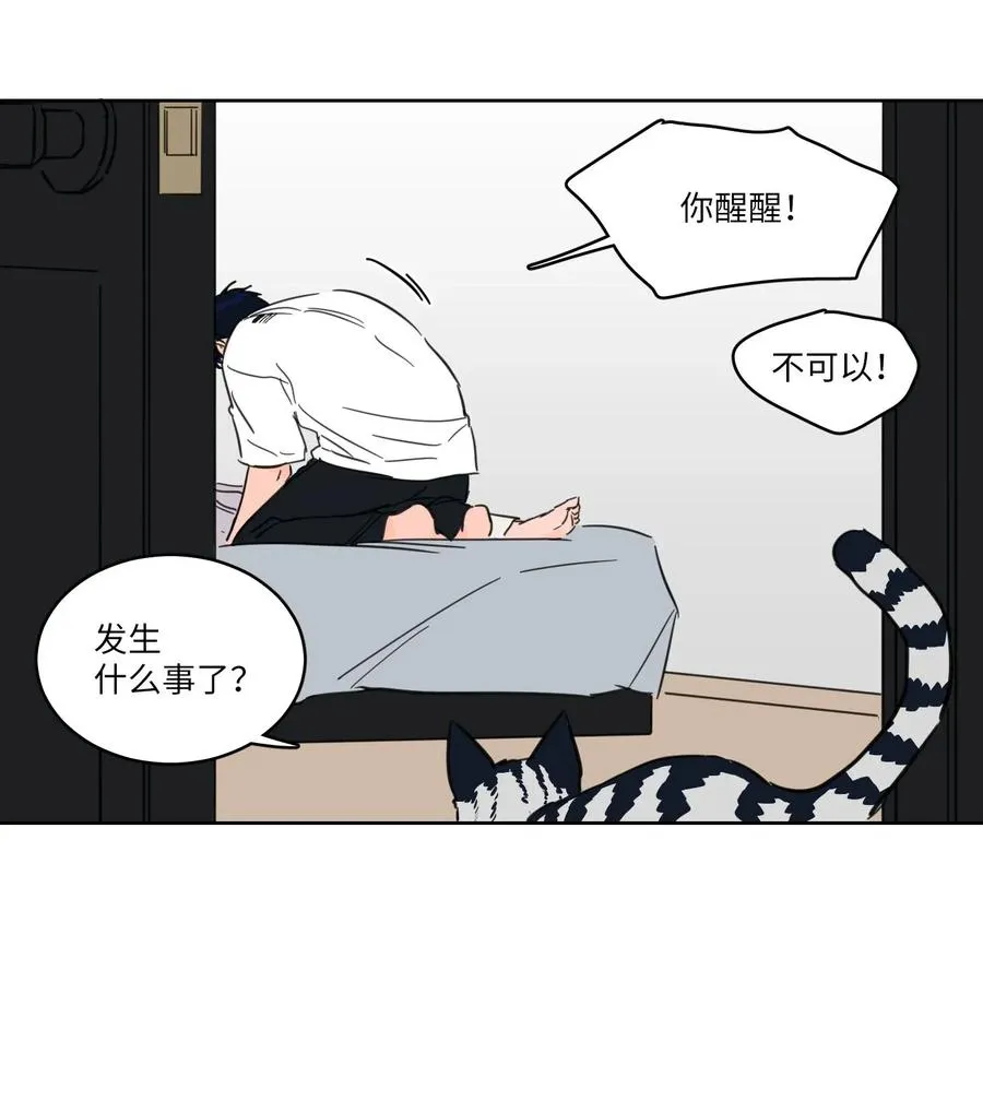 19 取珍珠 第18页